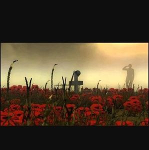 Meet your Posher, Patrick